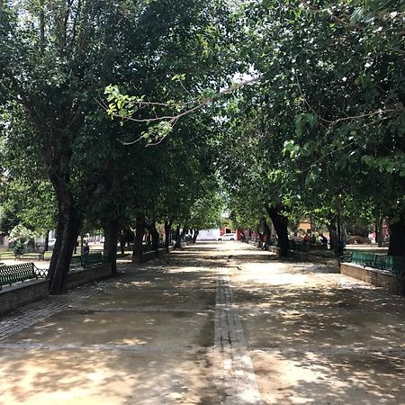 Casa Bahia De Cadiz Villa Puerto Real Eksteriør billede